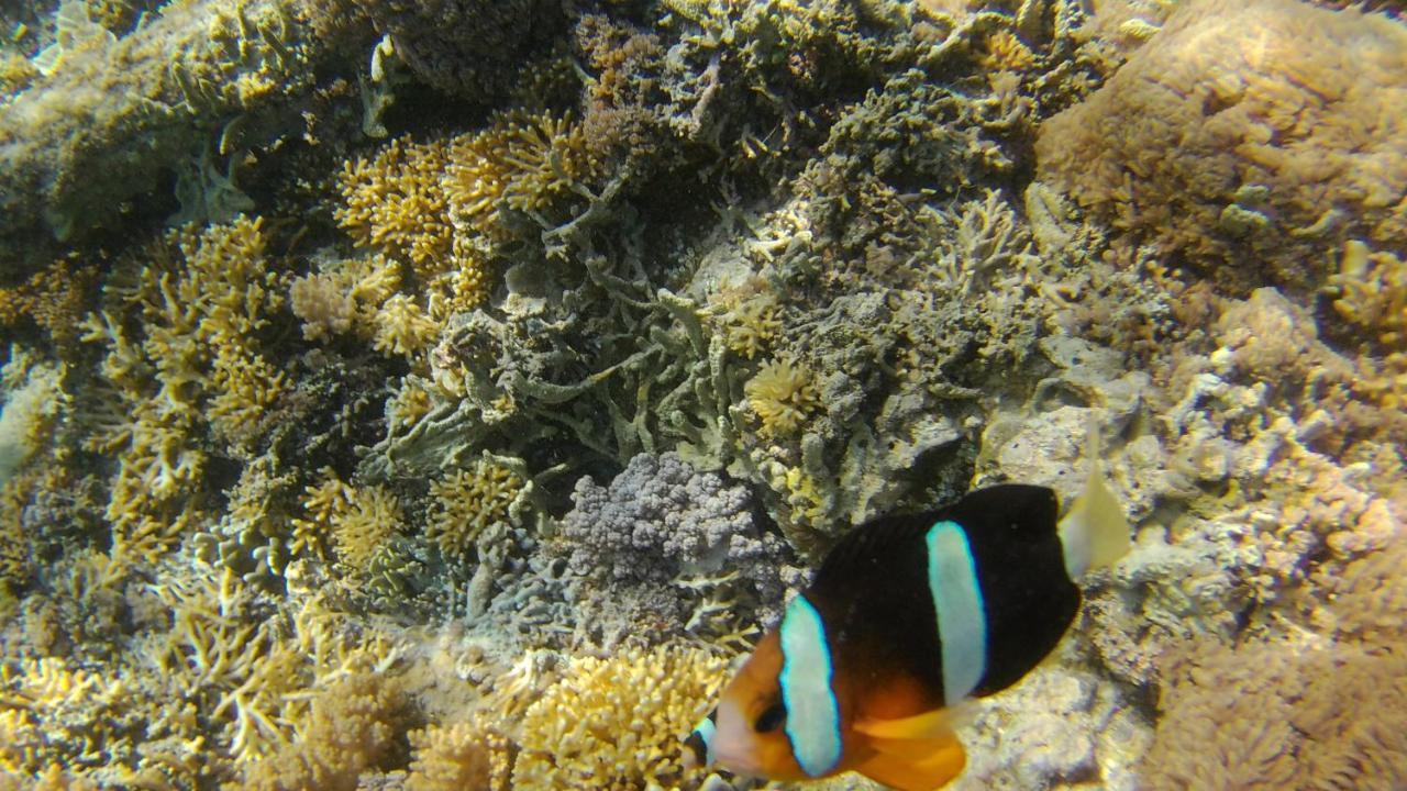 Run Gilis Appartement Gili Meno Buitenkant foto