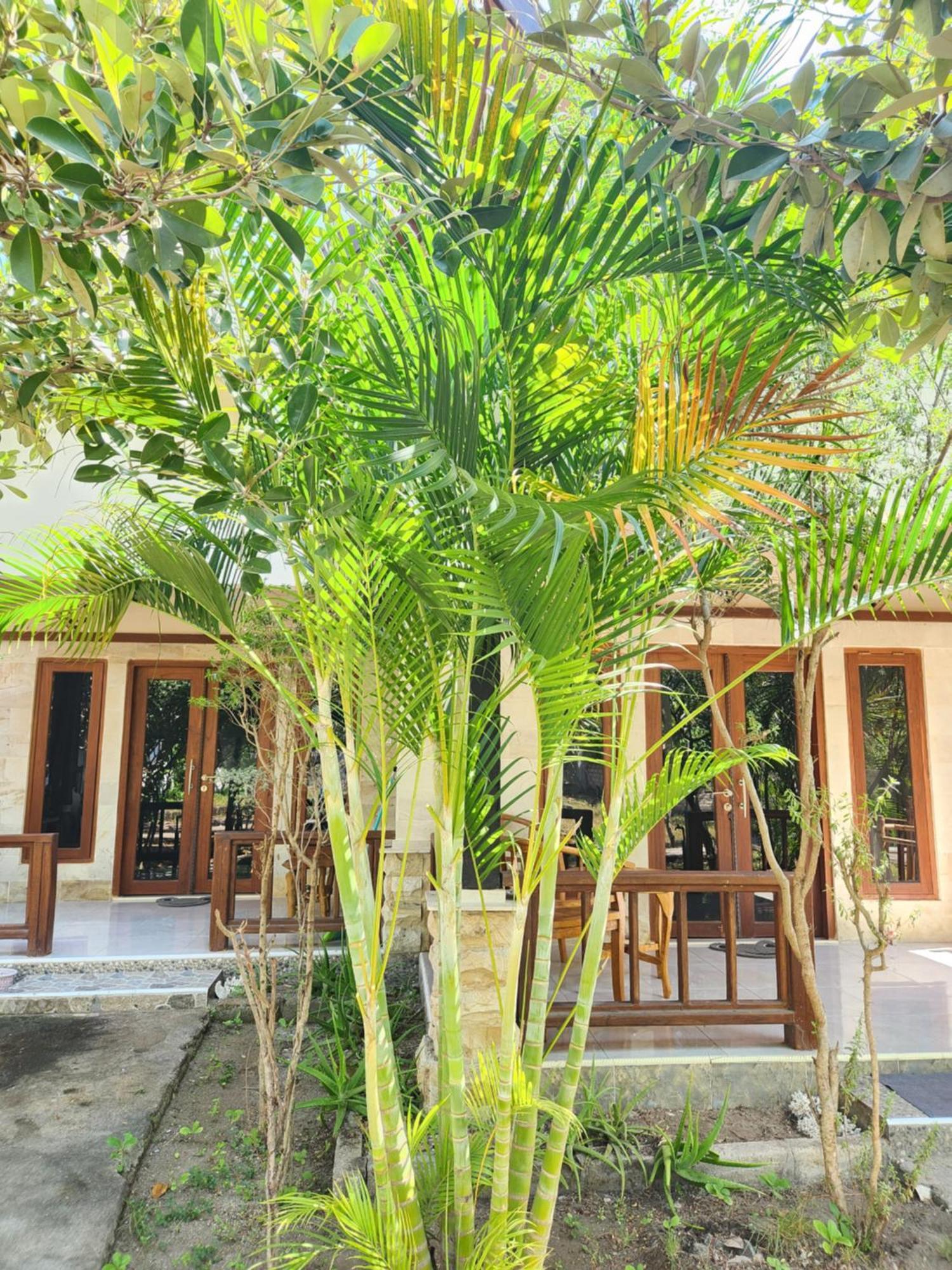 Run Gilis Appartement Gili Meno Buitenkant foto