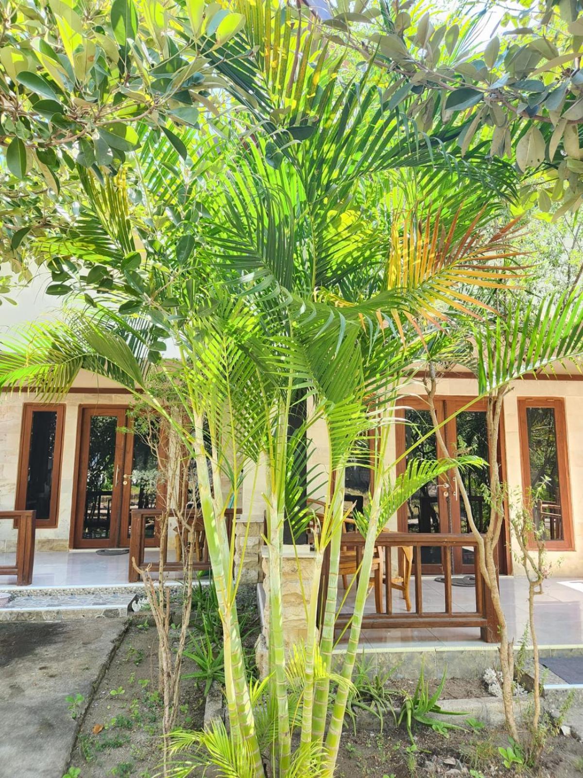 Run Gilis Appartement Gili Meno Buitenkant foto